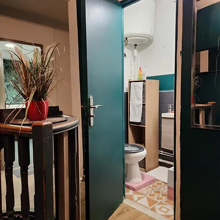 Centre Pres Des Buttes Chaumons Parijs